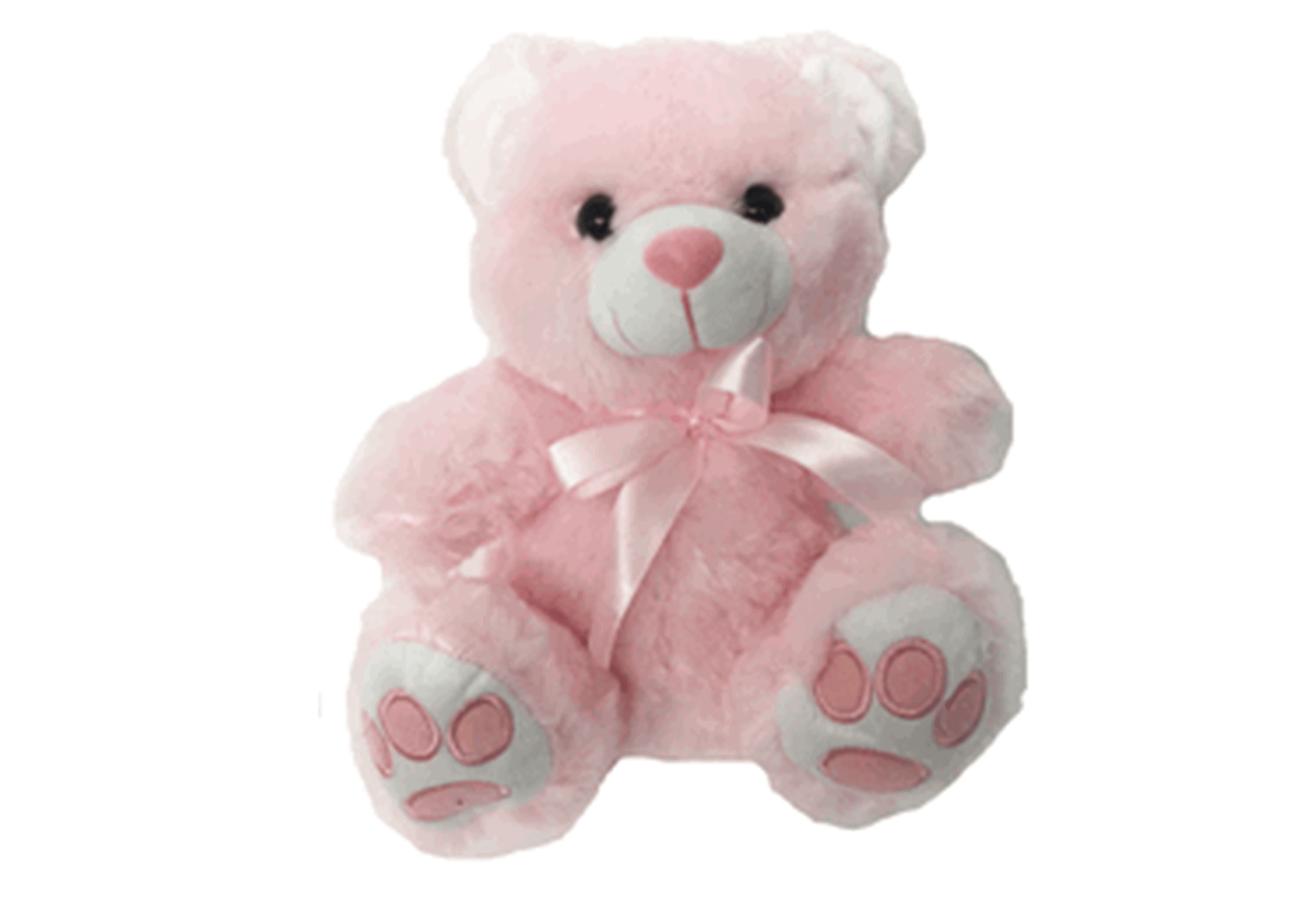 pink teddy