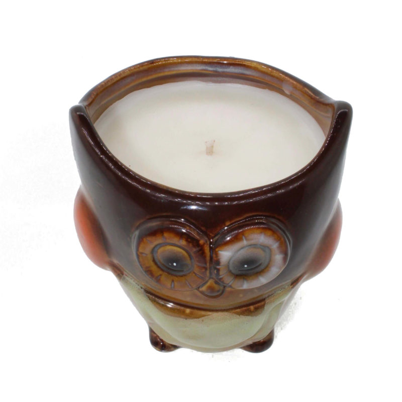 A Dark Brown Night Owl Candle on a white background.