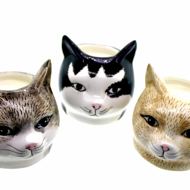 Three Cat Face Candles on a white surface.